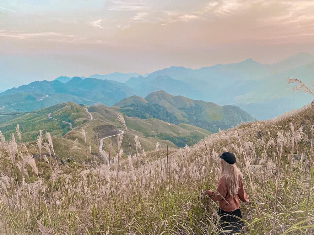 Hoa lau no dep nhat la tu giua thang 10 den cuoi thang 11.