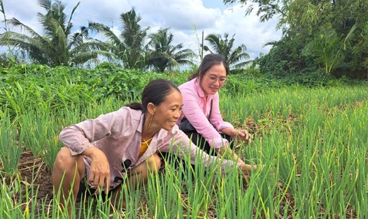 Chị Nguyễn Thị Trúc Linh (trái) từ khi tham gia Chi hội Phụ nữ ấp Kênh Làng Đông đã mạnh dạn làm kinh tế, ổn định đời sống. Ảnh: Xuân Nhi