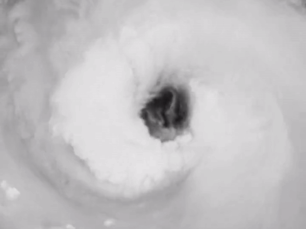 Dự báo bão, áp thấp mới dồn dập nối đuôi bão Kong-rey