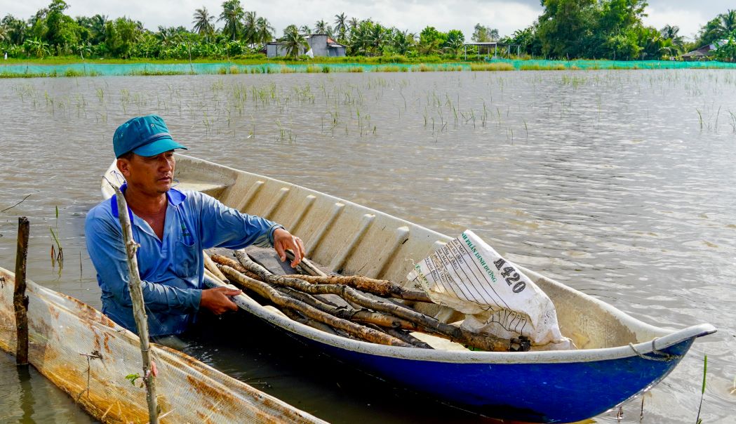 Nuoc tran dong khong the san xuat vu lua nhieu ba con quay luoi bao xung quanh ruong de nuoi ca. Day la mo hinh co von dau tu it, de thuc hien, chu yeu la tan dung thuc an tu nhien nen loi nhuan gap nhieu lan so voi trong lua  cho loi nhuan binh quan tu 40-50 trieu dong/ha