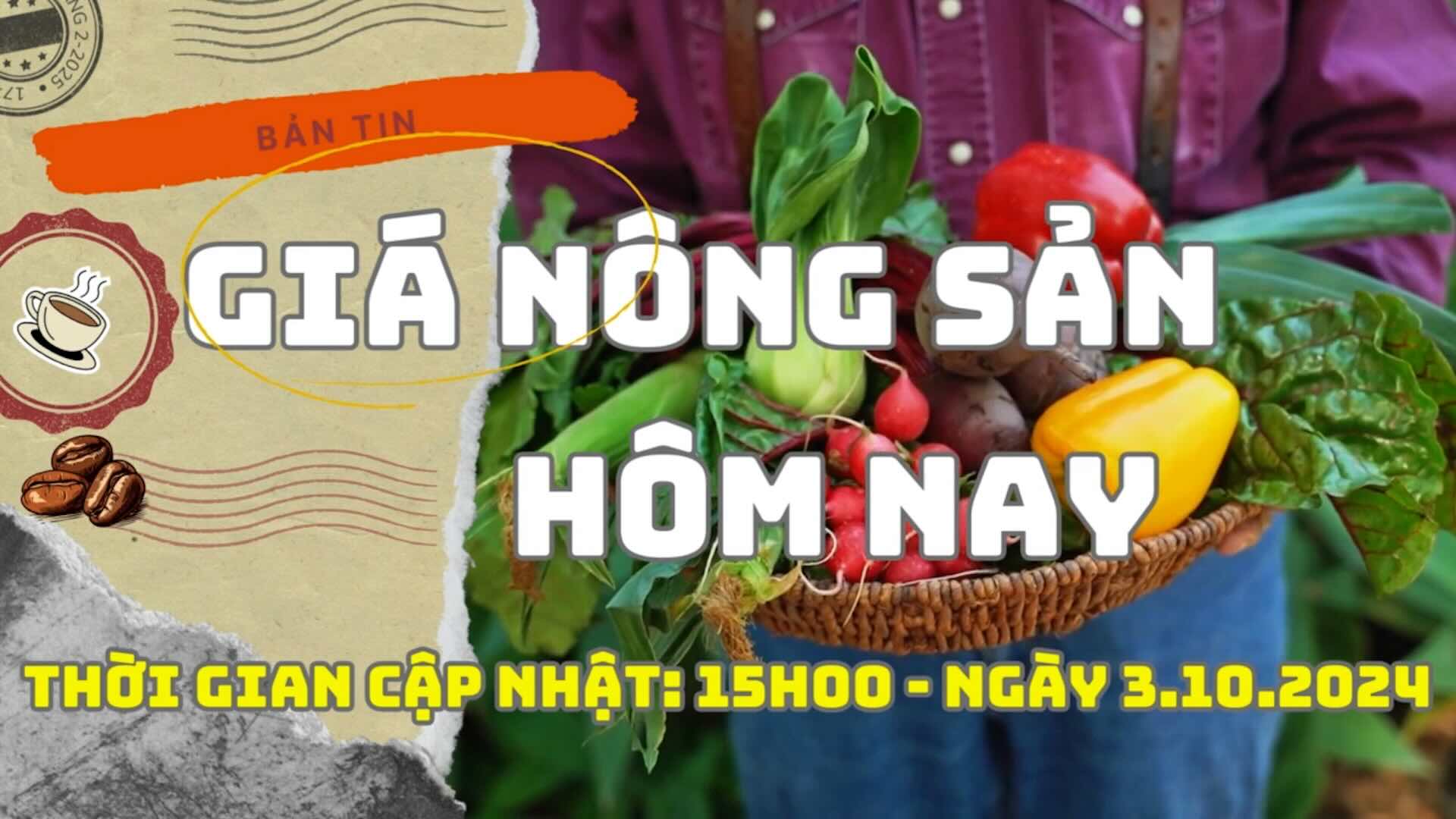 Giá nông sản hôm nay 3.10: Giá cà phê giảm tới 4.500 VNĐ/kg