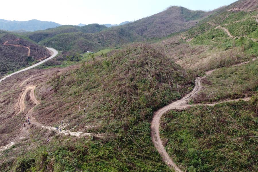 Ong Khieu Anh Tu - Pho Chu tich UBND huyen Ba Che - cho biet: “Huyen Ba Che dang chi dao cac dia phuong thanh lap cac to cong tac ra soat xac dinh thiet hai cua nhan dan lam can cu de lap ho so ho tro theo Quyet dinh 1568/2017/QD-UBND cua UBND tinh, Ngoai ra huyen da lam viec voi cac co so tieu thu thu mua go tan thu cua ba con on dinh ve gia, ra soat nguon cung cap giong de dam bao trong lai rung ngay sau khi nguoi dan tan thu xong”