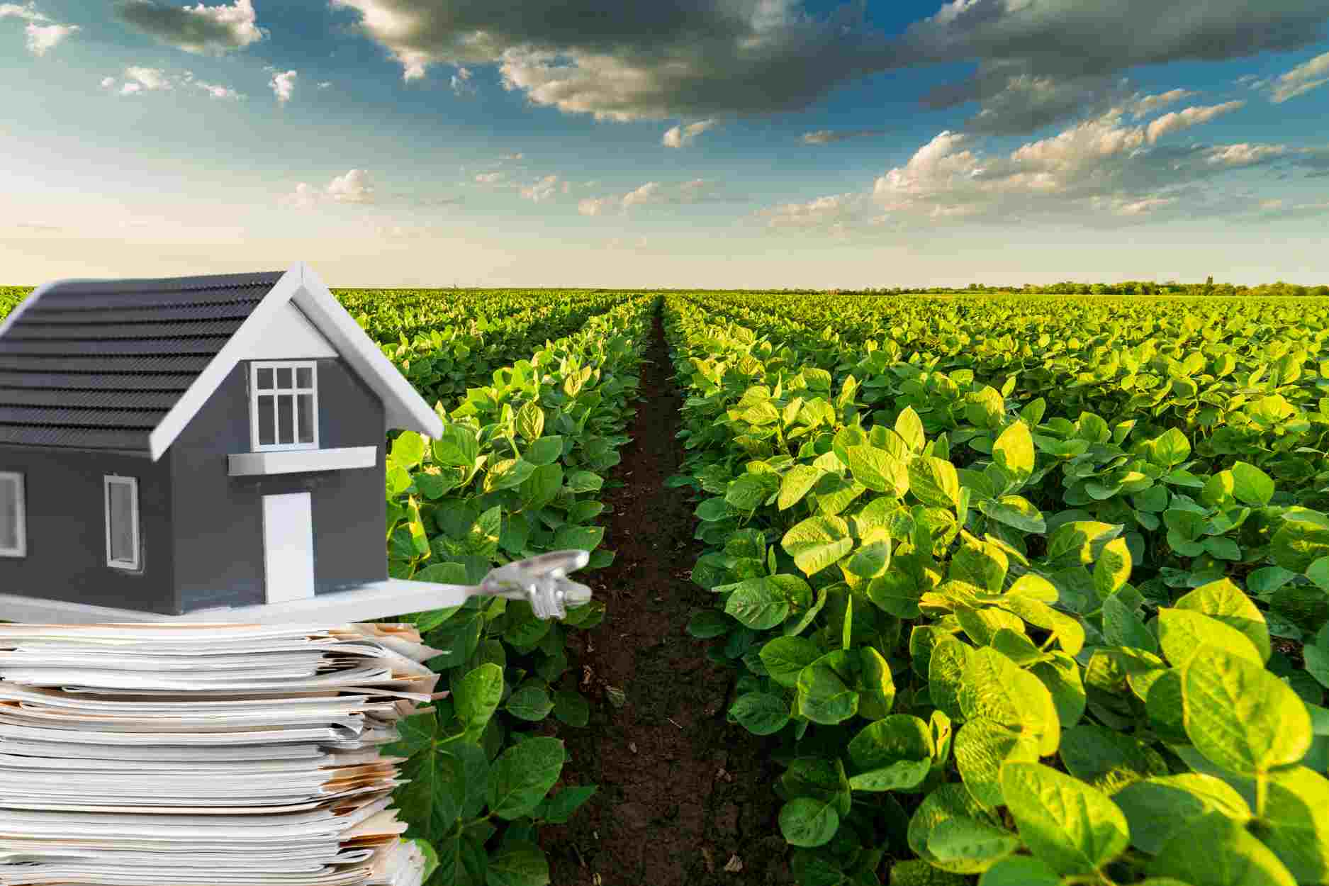 Procedures for converting cropland to residential land. Graphics: Linh Trang