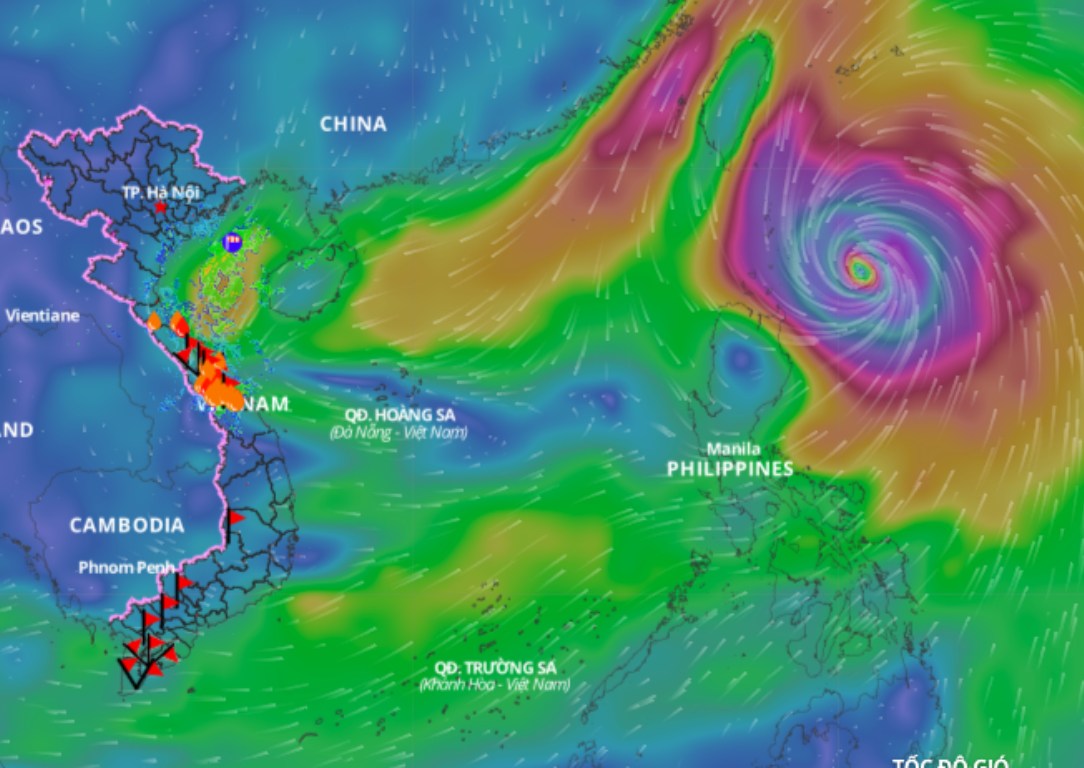 Cold air causes strong winds in the North East Sea. Above is the image of the wind direction layer over the sea at 11:00 on October 30. Source: Vietnam Natural Disaster Monitoring System