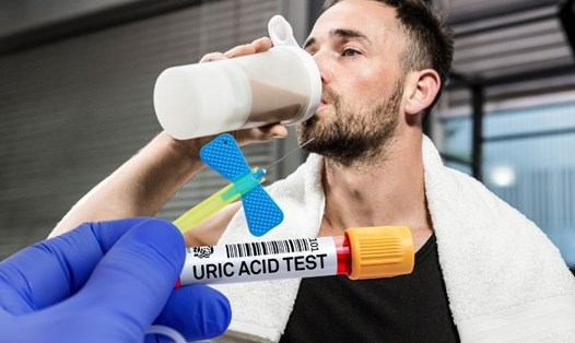 Sữa lắc protein giúp tăng cơ và phù hợp với người axit uric cao. Đồ họa: Hạ Mây