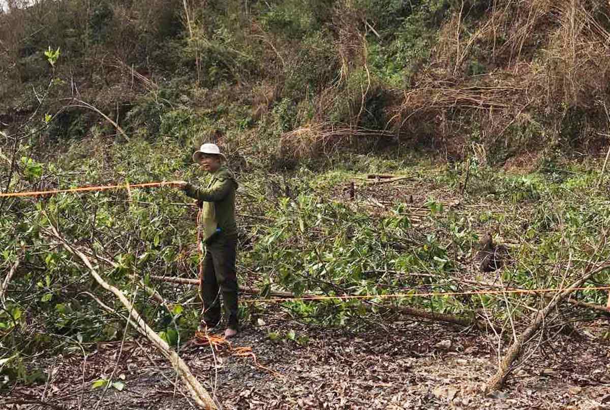 Luc luong kiem lam kiem ke thiet hai rung sau bao Yagi. Anh: Bui Rin