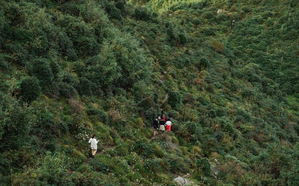 Nam tai ban Lung Cung, xa Nam Co, huyen Mu Cang Chai, tinh Yen Bai, Lung Cung co do cao 2913m, la dinh nui cao thu 11 tai Viet Nam. Voi tham thuc vat da dang, phong canh dep va cung duong de di chuyen, day la dia diem ly tuong de nhung nguoi moi trekking thu suc minh. Anh: NVCC