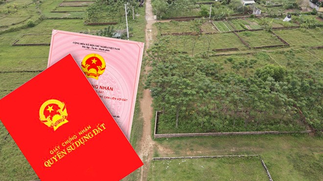 Can land without a red book be sold? Graphics: Phan Anh