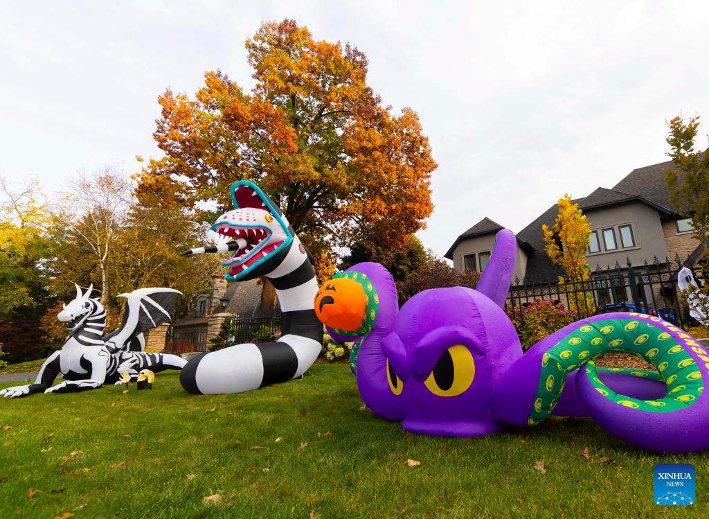 Tại Mississauga, Ontario, Canada có những ngôi nhà mang tới hình ảnh một Halloween dễ thương với màu sắc tươi sáng. (Photo by Zou Zheng/Xinhua)