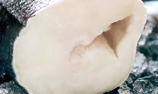 Cá tuyết có thể hỗ trợ đường huyết hiệu quả và có ích cho người bênh tiểu đường. Ảnh: Kiều Hà