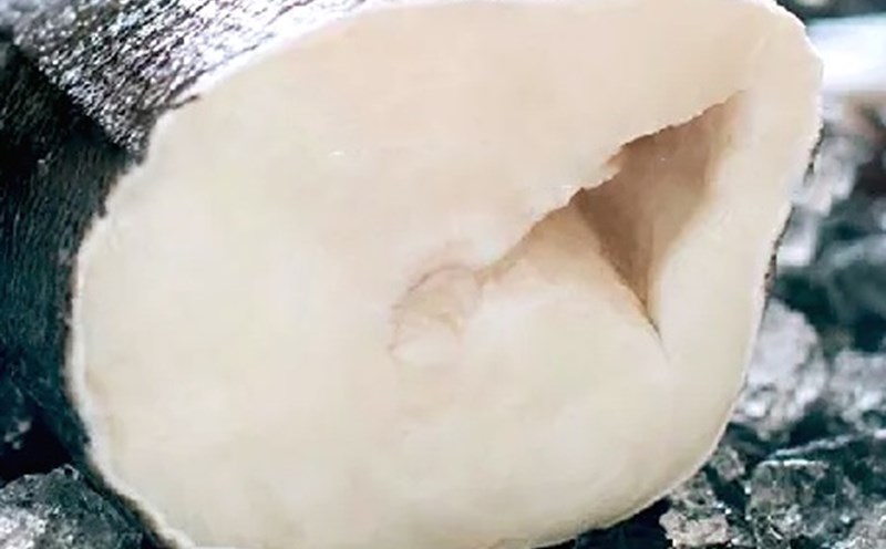 Cod can effectively support blood sugar and is beneficial for diabetics. Photo: Kieu Ha