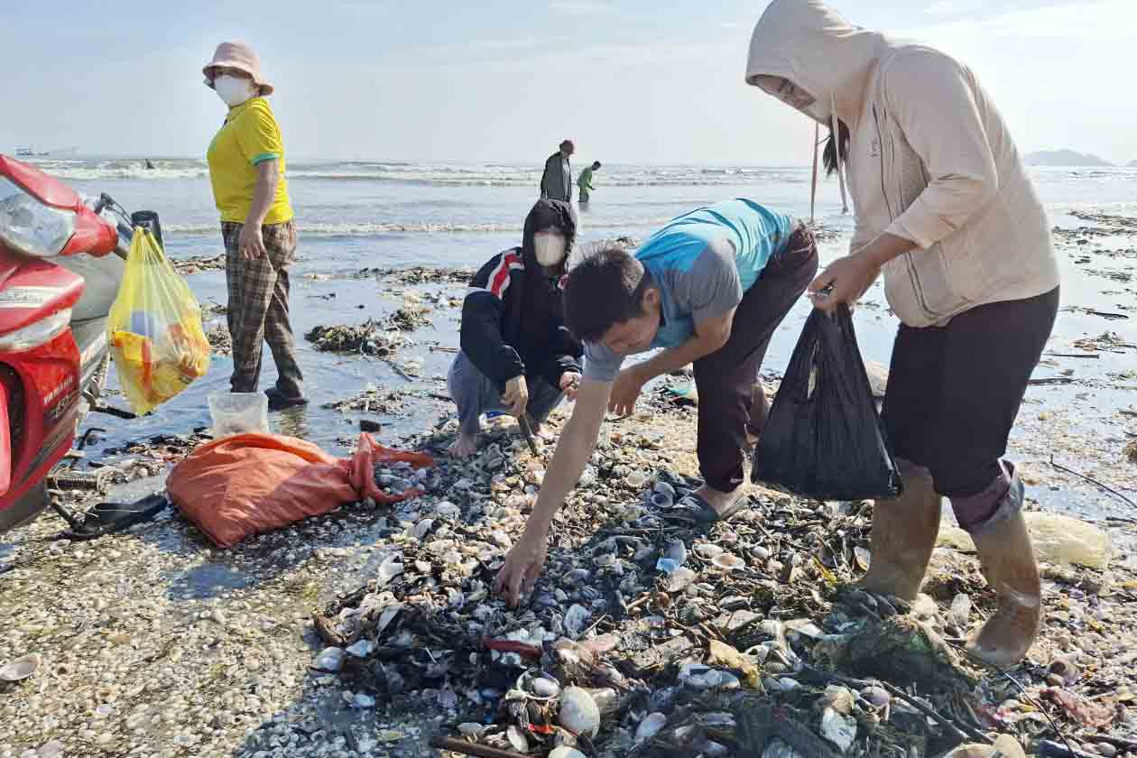 People of Thinh Loc commune go to the sea to collect "heavenly gifts". Photo: Tran Tuan