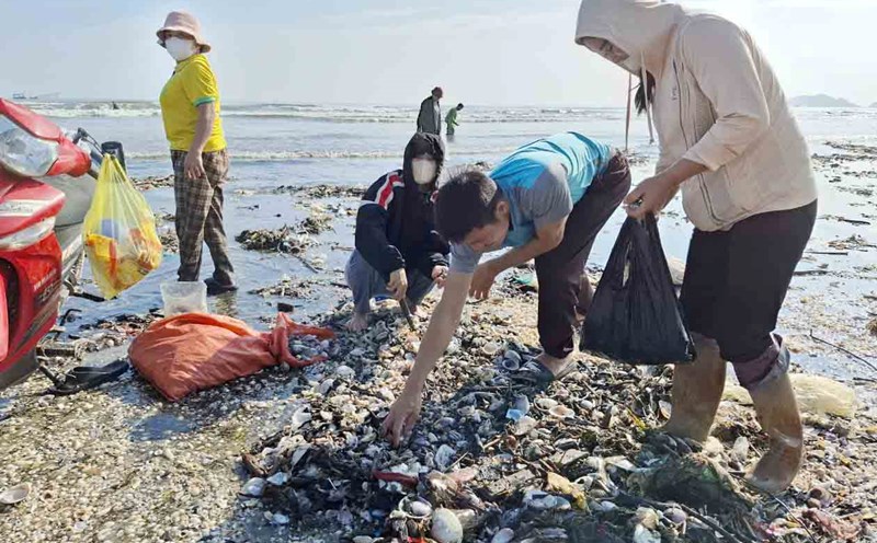 People of Thinh Loc commune go to the sea to collect "heavenly gifts". Photo: Tran Tuan