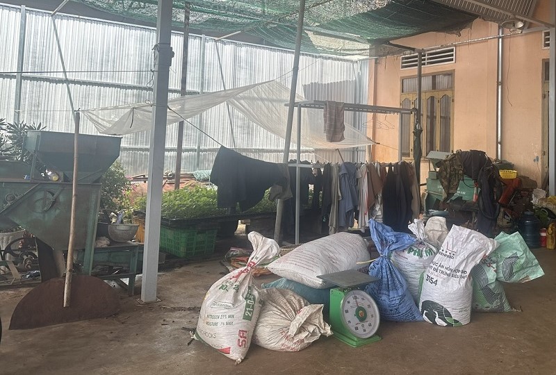 Thieves broke in and stole a large quantity of fresh coffee from Mr. Tran Van Luyen's family at night. Photo: Bao Trung