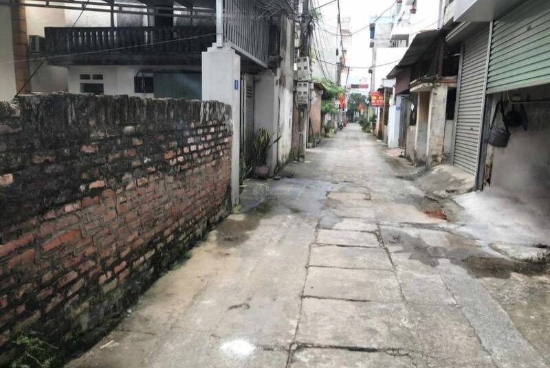 Many plots of land in Vinh Ngoc commune (Dong Anh district, Hanoi) are being sold by their owners for more than 100 million VND/m2. Photo: Thu Giang