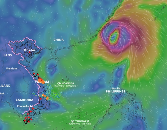 Cold air causes strong winds in the North East Sea. Above is the image of the wind direction layer over the sea at 4:30 p.m. on October 31. Source: Vietnam Natural Disaster Monitoring System