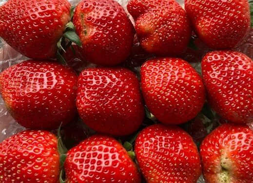Strawberries can support collagen production, helping to prevent skin aging. Photo: Kieu Vu