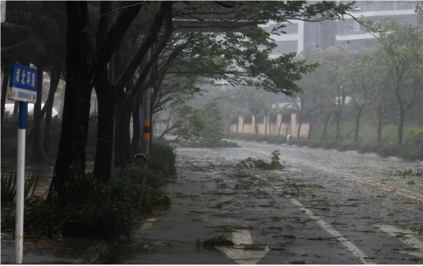 Devastation caused by Typhoon Yagi in China. Photo: Xinhua