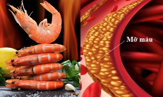 Loại hải sản không dành cho người máu nhiễm mỡ. Đồ hoạ: Hương Giang