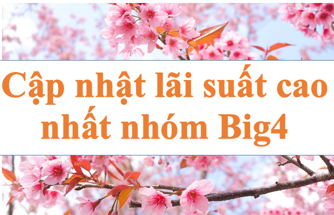 Update the highest interest rate of Big4 group. Illustration: Ha Vy