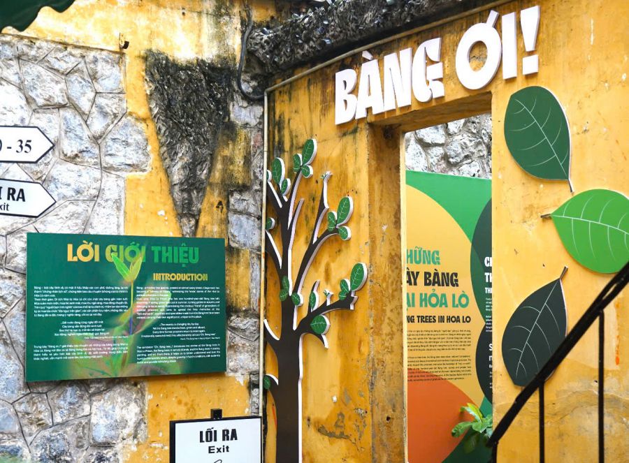 Trưng bày chuyên đề “Bàng ơi!” tại Di tích lịch sử Nhà tù Hỏa Lò. Ảnh: Sở VHTT Hà Nội