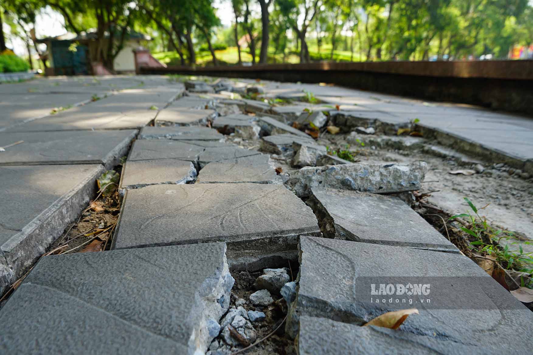 Tai Cong vien Nghia Do, nhieu doan duong danh cho nguoi di bo da vo nat. Cac hang muc ben trong cong vien da hu hong, gay mat my quan, tiem an nguy hiem cho nguoi dan.