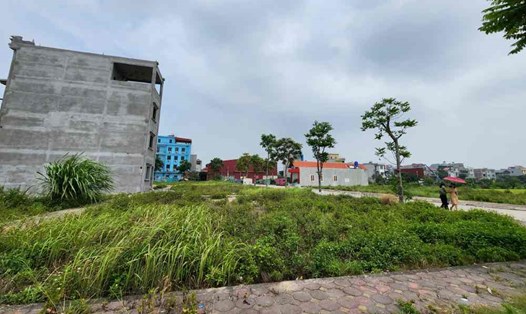 Đất nền được nhiều nhà đầu tư tìm hiểu, có dự định xuống tiền. Ảnh: Cao Nguyên