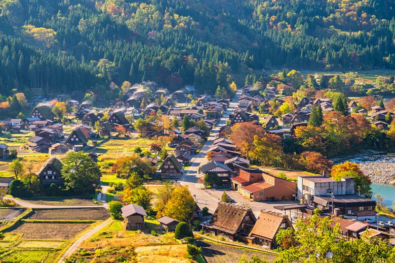 Làng Shirakawago chìm trong sắc lá vàng.