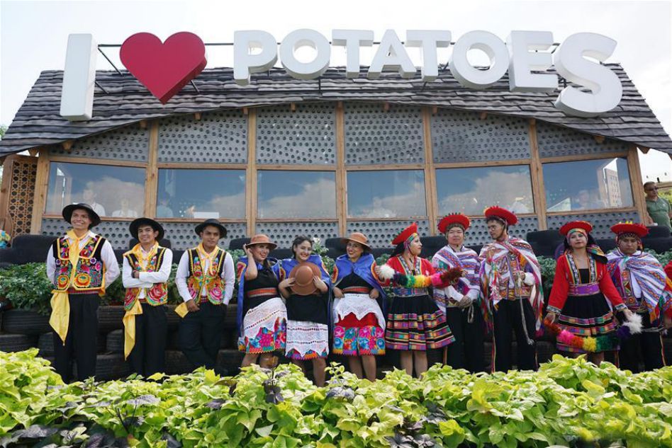 More than just a food source, potatoes are also closely tied to Peruvian culture and heritage. Photo: Xinhua