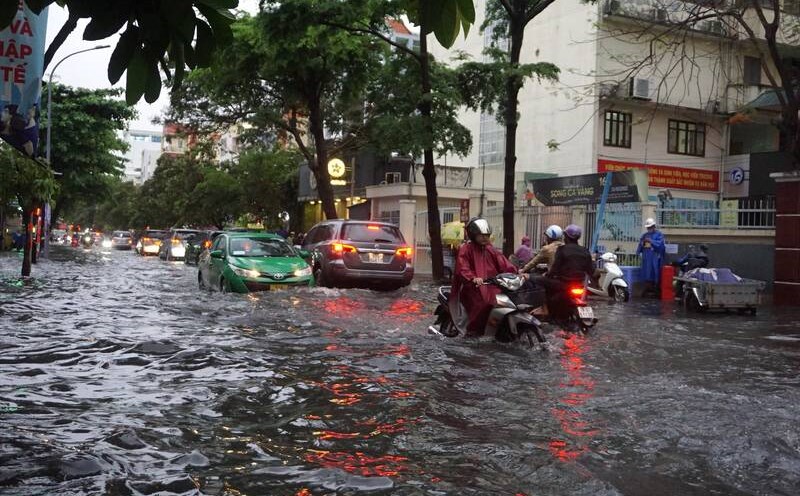 Du bao mua to keo dai o Nam Bo. Anh: LDO