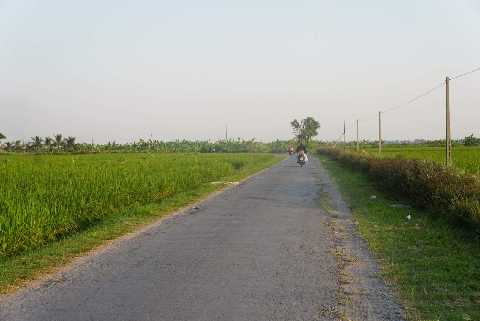 Doan tuyen qua khu ruong canh tac va chuyen doi xa Kim Anh chua co he thong chieu sang ban dem. Anh: Cong Hoa