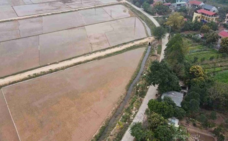 The 2024 Land Law stipulates the level of support for a person whose agricultural land is recovered. Illustration photo: Phan Anh