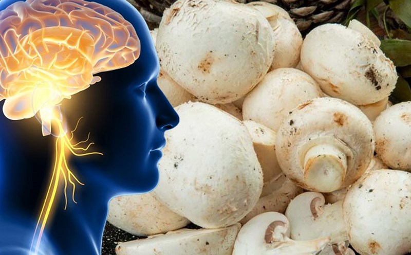 Benefits of mushrooms to boost your cognitive health. Graphics: Thien Nhan
