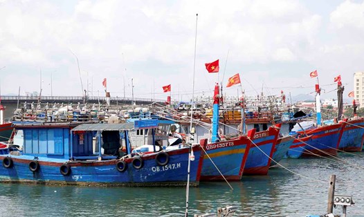 Chính quyền địa phương gian nan khi tàu cá mất kết nối giám sát hành trình. Ảnh: Công Sáng