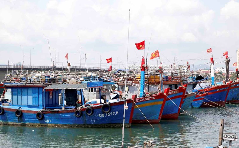 Chính quyền địa phương gian nan khi tàu cá mất kết nối giám sát hành trình. Ảnh: Công Sáng