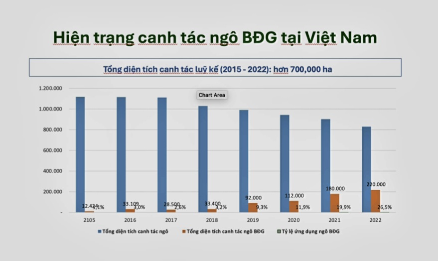 Dien tich trong ngo chinh sua gen o Viet Nam. Nguon: Croplife Viet Nam