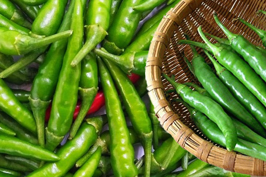 Ớt xanh là nguồn cung cấp vitamin và khoáng chất rất có lợi cho sức khỏe tổng thể của bạn. Đồ hoạ: Thiện Nhân