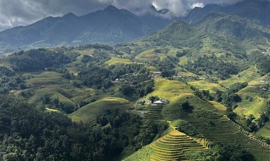 Thiên nhiên hoang sơ ở Sa Pa. Ảnh: Erika Na