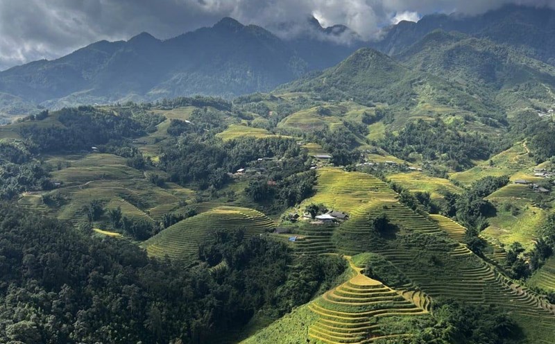Wild nature in Sa Pa. Photo: Erika Na