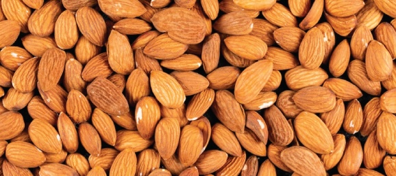 Using almonds and some other types in your diet, especially for breakfast, is an effective way to lose weight. Photo: Kieu Vu