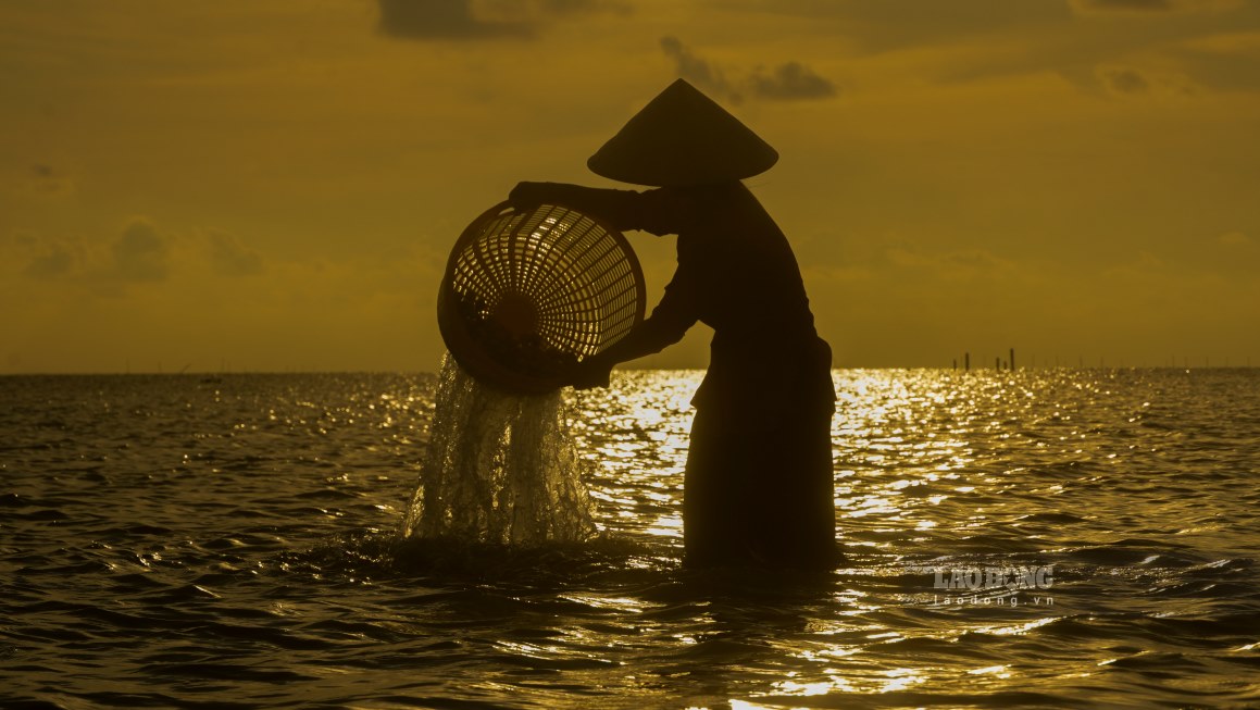 Tourists experience clam digging in Ca Mau Cape. Photo: Ta Quang