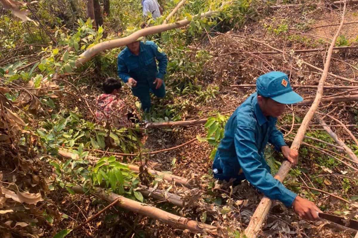 Authorities of Van Don district, Quang Ninh province help people clean up and collect timber from planted forests. Photo: Bao Ngu