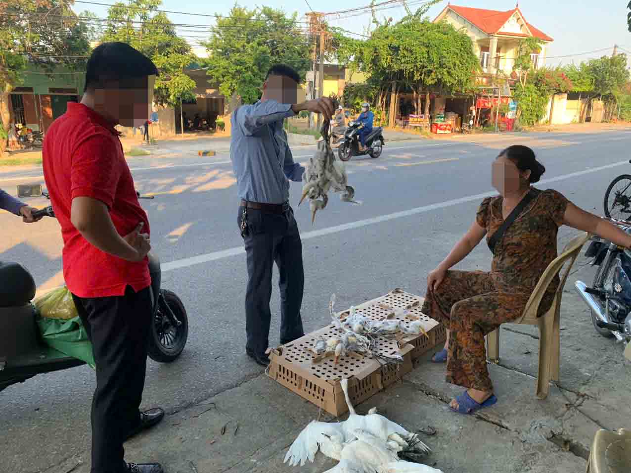 Ngang nhiên bày bán chim trời bên đường ven biển ở huyện Nghi Xuân. Ảnh: Trần Tuấn.