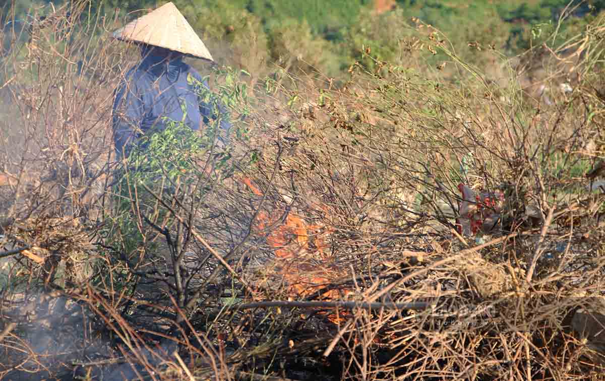 Dao chet duoc dot bo trong su bat luc cung noi lo mat Tet cua nguoi nong dan. Anh: Viet Bac.