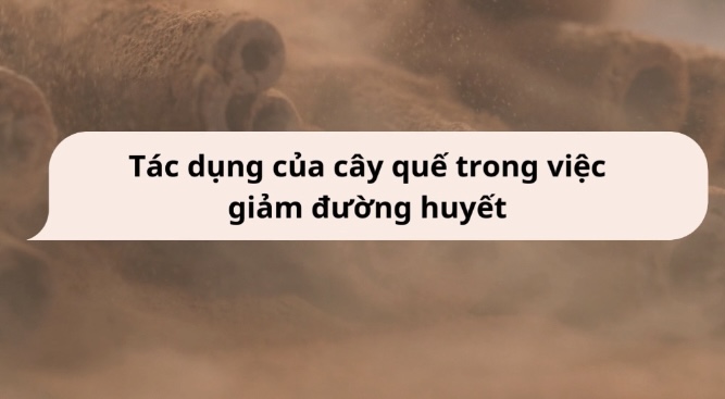 The effect of cinnamon in reducing blood sugar. Graphics: Huong Giang