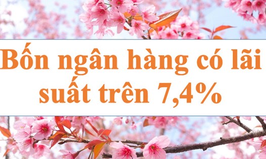 Bốn ngân hàng có lãi suất trên 7,4%. Ảnh minh họa:  Hà Vy