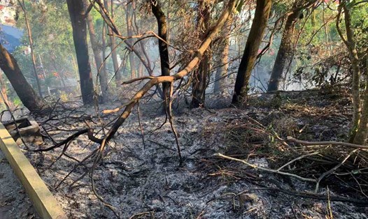 Hiện trường vụ cháy ở điểm cao 92 quận Đồ Sơn, Hải Phòng. Ảnh: Tuyên giáo Đồ Sơn