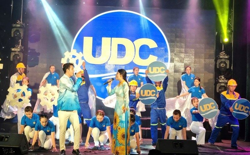 A performance at the art festival. Photo: Nam Duong