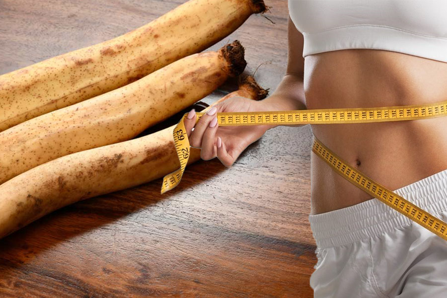 Lotus root helps lose weight effectively. Graphics: Ngoc Thuy