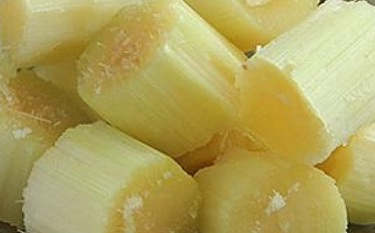 Mía có làm hạ đường huyết đối với người bệnh tiểu đường không là vấn đề nhiều người quan tâm. Ảnh: Trần Thanh